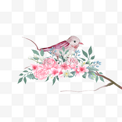 花鸟画中国风格粉色