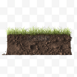 土壤里的根系图片_3d 渲染土壤和一些孤立的草