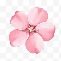 可爱的粉花图片_可愛的粉紅色花朵插畫