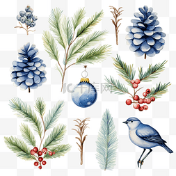 冬季树枝插画图片_水彩圣诞冬季套装冬季鸟类溜冰鞋