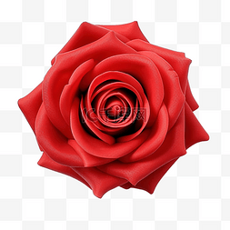 红玫瑰花剪纸
