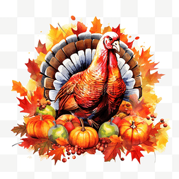 感恩节设计，烤火鸡和秋叶