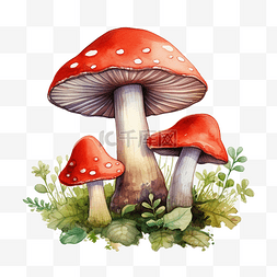 画林中小屋图片_水彩风格可爱的红蘑菇毒药