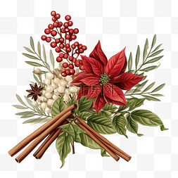 植物与家图片_圣诞花卉小插图与冬青和肉桂