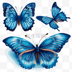 免费蝴蝶素材图片_藍色蝴蝶 向量