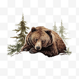 老睡熊看起来像山林熊冬天心情圣