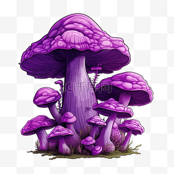 紫色蘑菇簇png插图
