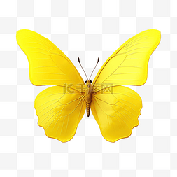 黄色飞舞的蝴蝶