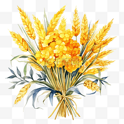 玉米的地图片_水彩黄色麦穗花束剪纸