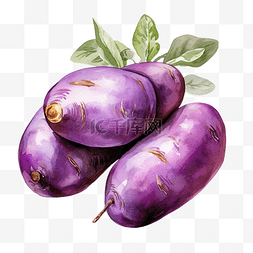 土豆表情图片_紫薯蔬菜亮色png文件