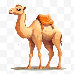 camal 剪贴画 这只卡通骆驼站在白