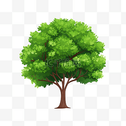 简单的树图片_白色上孤立的绿色平树矢量图