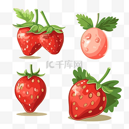 草莓剪贴画不同类型的草莓设置不