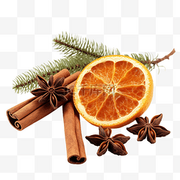树枝上的橙子图片_圣诞树枝和锥体