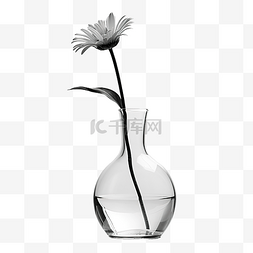一朵大菊花图片_花瓶裡的花
