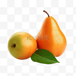 新鲜柑橘图片_红毛和梨果