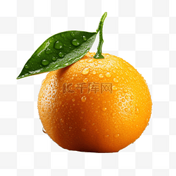 新鲜水果白色图片_橙色水果png