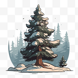 雪松树图片_冬天的松树 向量