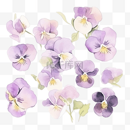 紫色花水彩图片_紫色三色堇花水彩风格装饰元素