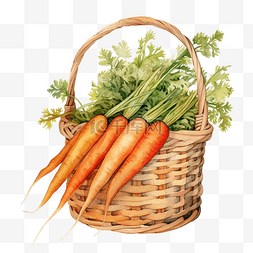 水彩胡萝卜蔬菜柳条复古篮子