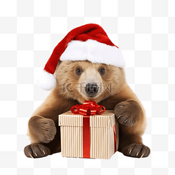 拿着礼物的圣诞棕熊