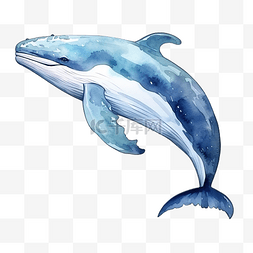 水彩鲸鱼海洋动物剪贴画