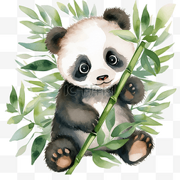水彩画熊猫卡通png