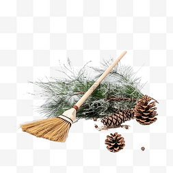 圣诞节屋子松树图片_圣诞节假期后清理松针和破碎的装