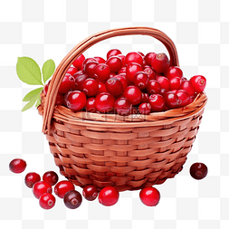 纯净装水图片_篮子里装着多汁的红蔓越莓