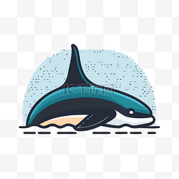 逆戟鲸在水汪汪的大海插图 向量