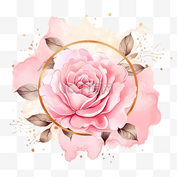 金翼标题框图片_水彩粉色英国玫瑰，粉红色飞溅背