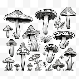 黑白图创意图片_一组不可食用蘑菇的矢量图像