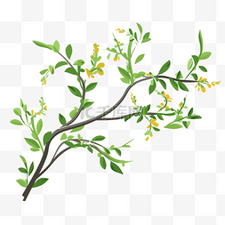 灌木矢量图片_分支剪贴画黄花树树枝与白花矢量