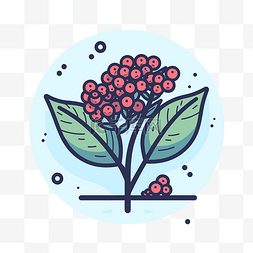 冬莓花植物平面图形概念矢量图
