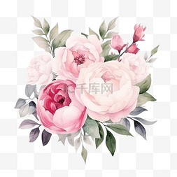 绽放的玫瑰图片_粉红色柔和的水彩玫瑰和牡丹花花