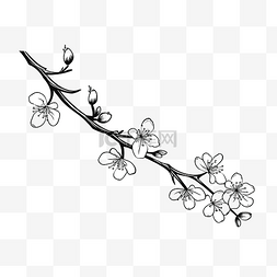 简单绘制的树枝与花朵孤立的树枝