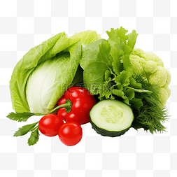 各种新鲜有机沙拉蔬菜组