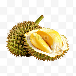 带刺的字体图片_带刺的黄色榴莲 美味的热带水果