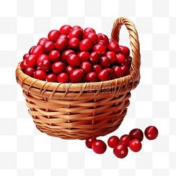 篮子里装着多汁的红蔓越莓