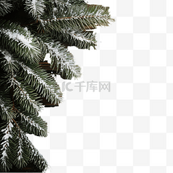 松树上有雪图片_圣诞杉树枝，木板上有雪装饰