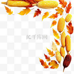 时令图片_秋季感恩节时令老玉米棒子