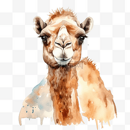 骆驼抽象图片_骆驼水彩野生动物
