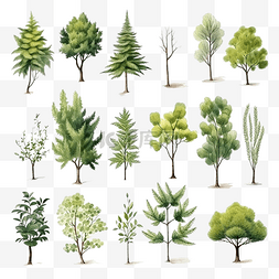 小森林逼真的不同种类植物的树木