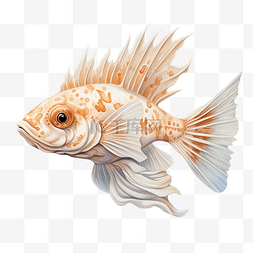 刺身文字图片_钳鱼海洋动物插图