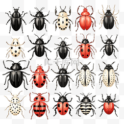 可怕而逼真的彩色手绘甲虫和蜘蛛