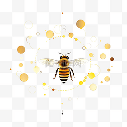 蜜蜂飞行路径 蜜蜂以虚线飞行 蜜