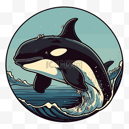 体育器材插画图片_逆戟鲸剪贴画逆戟鲸在海洋中跳跃