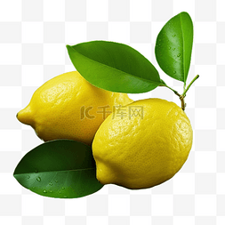 柠檬手图片_孤立的柠檬果