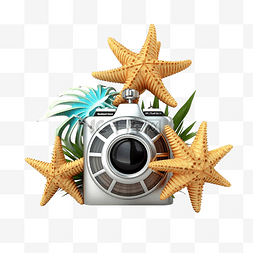 半岛酒店图片_3d 夏季旅行与掌舵球海星菠萝相机