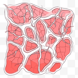 食管静脉曲张图片_静脉剪贴画粉红色卡通皮肤结构的